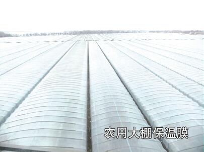 母料在吹膜-工業(yè)、農(nóng)業(yè)、包裝中的運(yùn)用